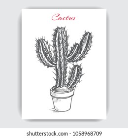 Sketch hand drawn illustration cactus card.