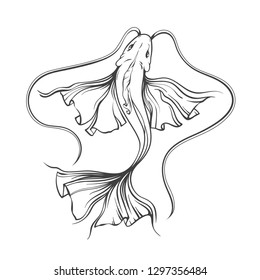 Sketch hand drawn of koi japan card, fish, vector line art illustration isolated on white background