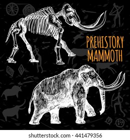 Sketch hand drawn mammoth and its skeleton chalkboard on dark background with rock paintings isolated vector illustration
