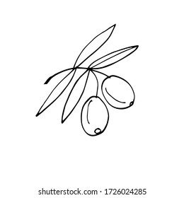 Sketch hand drawn olives. Olive fruits bunch and olive branches with leaves. Vector illustration isolated on white background.