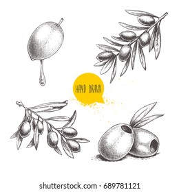 Esbozar conjunto de aceitunas dibujadas a mano. Frutas de oliva con gota de aceite, aceitunas deshuesadas y ramas de olivo con hojas. Ilustración vectorial aislada en fondo blanco.