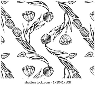 Sketch hand drawn pattern with black vintage tulip flowers isolated on white background. Retro line art flower wallpaper, textile. Turkish, Holland tulip. Vector floral illustration.
