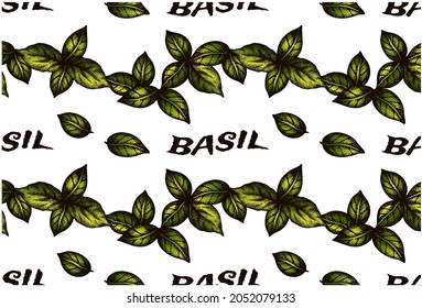 Sketch hand drawn pattern of green basil leaves isolated on white background. Organic natural food ingridient. Line art drawing basil leaf wallpaper. Vector illustration.