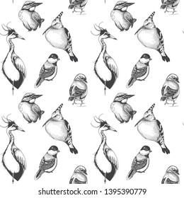 Sketch Hand Drawn Pattern With Heron, Hoopoe, Blue Jay, Erithacus Rubecula. Animals Illustration Birds.