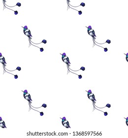 Sketch hand drawn pattern with hummingbird. Animals illustration colibri birds.