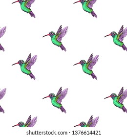 Sketch hand drawn pattern with hummingbird. Animals illustration colibri birds.