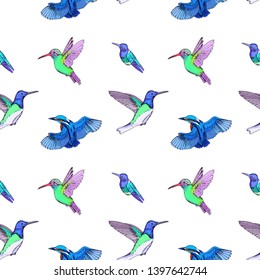 Sketch hand drawn pattern with hummingbird and kingfisher. Animals illustration colibri birds.