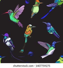 Sketch hand drawn pattern with hummingbird. Animals illustration colibri birds.
