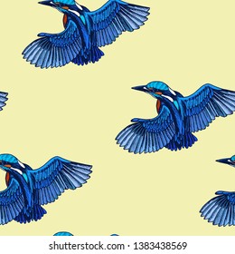 Sketch hand drawn pattern with kingfisher. Animals illustration birds.