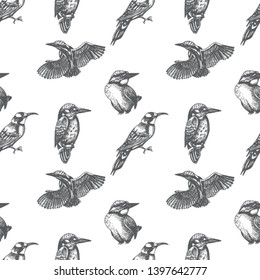 Sketch Hand Drawn Pattern With Kingfisher, Blue Jay, Bee-eater. Animals Illustration Birds.