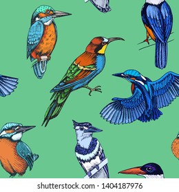 Sketch Hand Drawn Pattern With Kingfisher, Blue Jay, Bee-eater. Animals Illustration Birds.