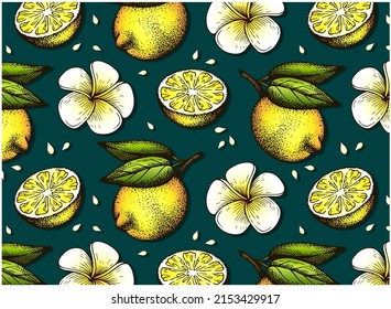 Sketch hand drawn pattern of yellow lemon with green leaves and white plumeria flower isolated on blue background. Tropical floral wallpaper. Outline drawing citrus fruit. Vintage vector illustration.