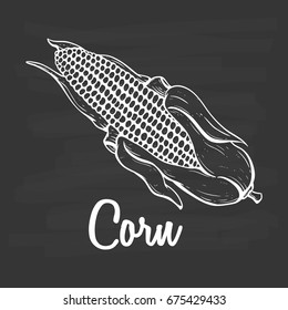 sketch or hand drawn ripe corn on the cob with text on chalkboard background