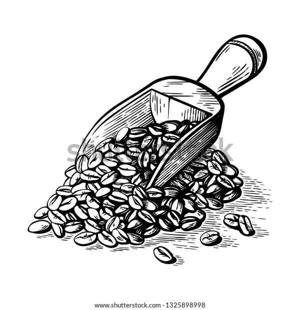 Sketch Hand Drawn Scoop Bunch Coffee Stock Vector (Royalty Free) 1325898998