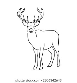 Sketch hand drawn silhouette of a Deer. Doodle vector isolated on a white background.