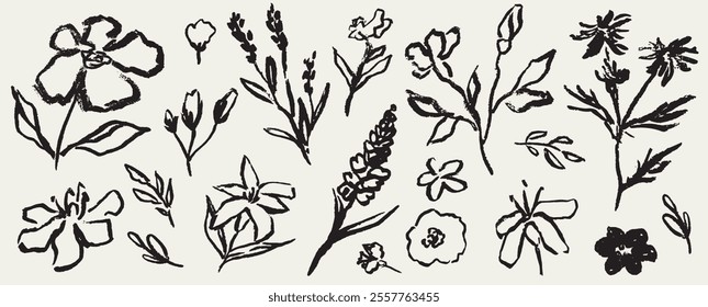 Sketch hand drawn silhouette floral plant, leaf grunge abstract vector illustration. Flower abstract hand drawn brush ink or chalk stroke. Simple flower, leaf charcoal, pencil, crayon style elements.