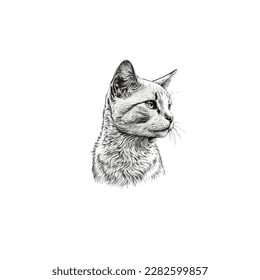 Sketch, Hand drawn, single line art Cat  use for logo poster and background