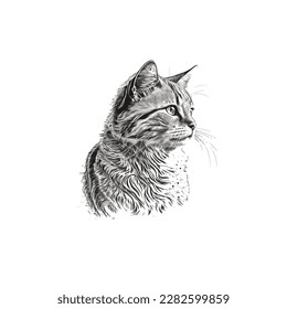 Sketch, Hand drawn, single line art Cat  use for logo poster and background