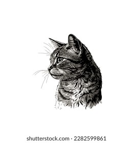 Esbozo, dibujo a mano, arte de una sola línea Uso de gato para el afiche del logotipo y fondo