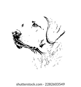 Sketch, Hand drawn, single line art Dog  use for logo poster and background