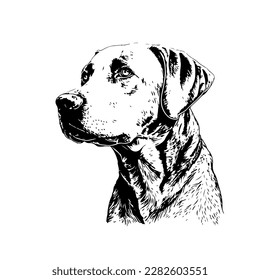 Sketch, Hand drawn, single line art Dog  use for logo poster and background