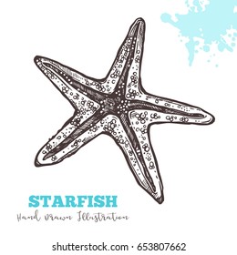 Sketch Hand Drawn Starfish Stock Vector (Royalty Free) 653807662 ...