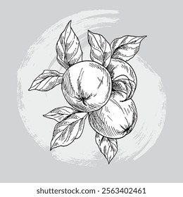 sketch hand drawn vector illustratio