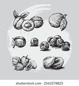 sketch hand drawn vector illustration