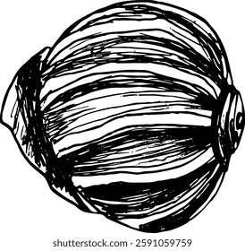 Sketch hand drawn vector illustration of seashell outline mollusk on summer beach