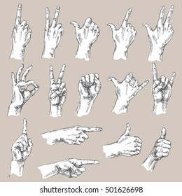 Sketch of hand gestures. Monochrome set of the different positions of the hands: count gesture, victory sign, Shaka, okay, pointing , thumbs up, closed fist.