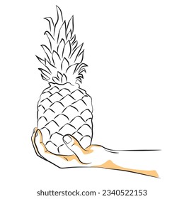 sketch of a hand holding a pineapple