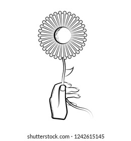 Sketch of a hand holding a sunflower. Vector illustration design