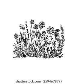 Sketch hand-drawn black outline foliage and flower plants vector nature.