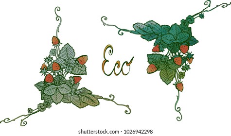 sketch of handmade vector in lines and watercolor spots isolated in the form of strawberry bush, wild strawberry berries and leaves with stems and the inscription Eco