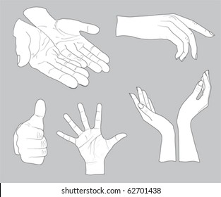 sketch of hands