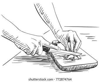 Sketch of hands carefully chopping small vegetable or fruit on cutting board, Hand drawn vector illustration with hatched shades