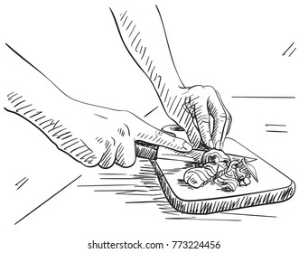 Sketch of hands carefully chopping vegetable or fruit on cutting board, Hand drawn vector illustration with hatched shades