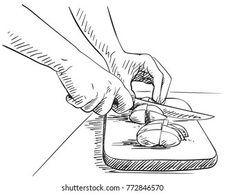 Sketch Hands Chopping Vegetable Fruit On Stock Vector (Royalty Free ...