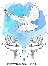 Sketch Of Hands Let Go Dove Of The World. Symbol Of Peace. Illustration Of Freedom And World Without War.