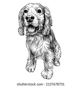 Sketch Happy Cocker Spaniel Puppy. Hand Drawn English Cocker Spaniel Dog.