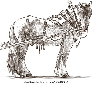 sketch of a harnessed workhorse