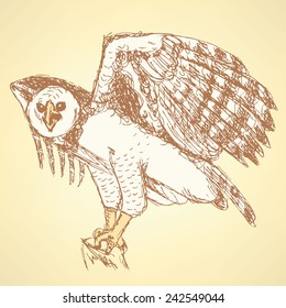 Sketch harpia bird head in vintage style, vector 