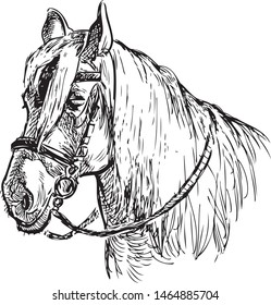 Sketch of the head of a harnessed horse