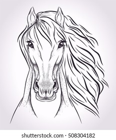 Sketch head of horse on light background.