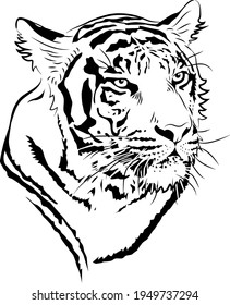  Sketch.  Head of tiger. Minimalistic style.