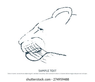 Sketch of head of a wild cat lionesses, Panthers. Design element