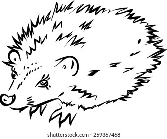 Sketch of Hedgehog