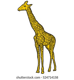 Sketch of a high African giraffe on a white background. Vector illustration.