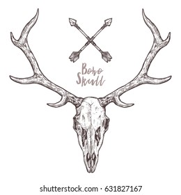 Sketch Of Hipster Deer Skull With Tribal Arrows. Boho Hand Drawn Illustration. Anatomical Drawing Of Skull With Horns