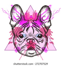 Sketch Hipster French bulldog face in triangle frame with watercolor ink drop. Hand Drawn Skull  doodle vector illustration. Sketch for tattoo.